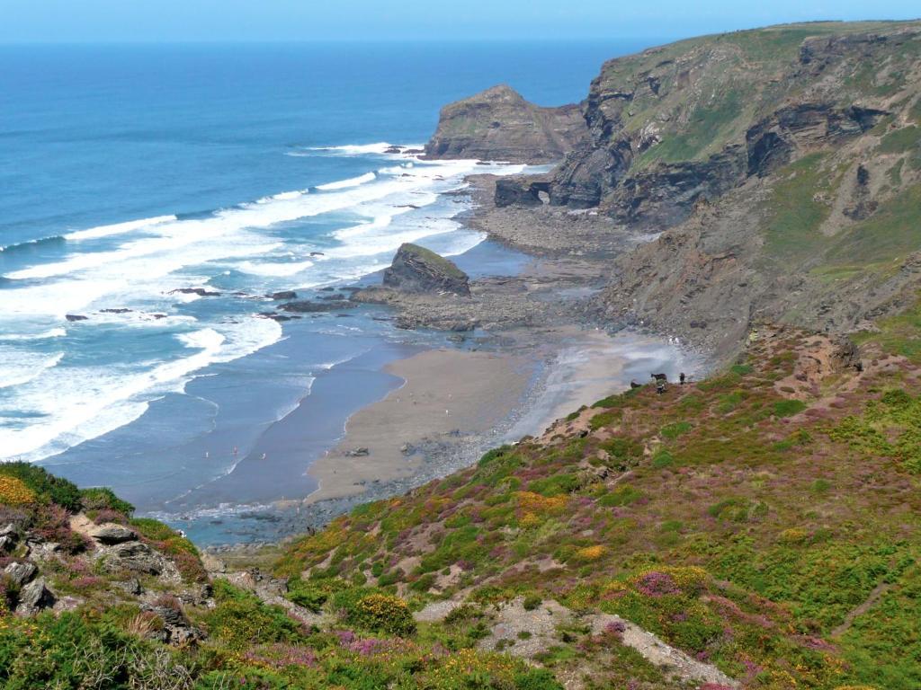 The Old Rectory Bed & Breakfast Boscastle Dış mekan fotoğraf