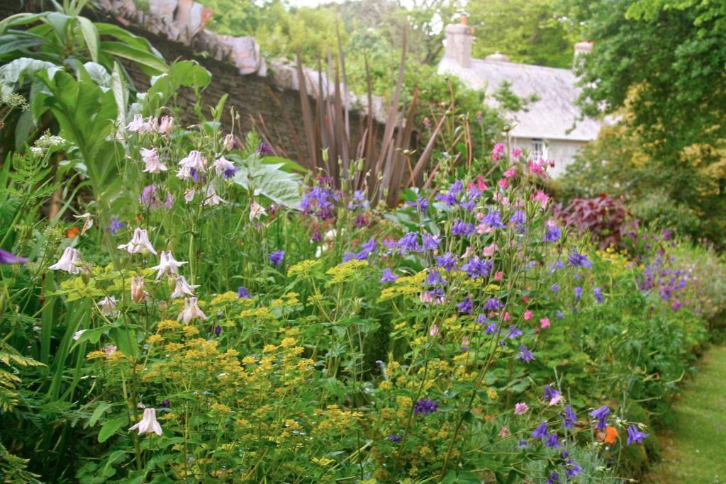 The Old Rectory Bed & Breakfast Boscastle Dış mekan fotoğraf